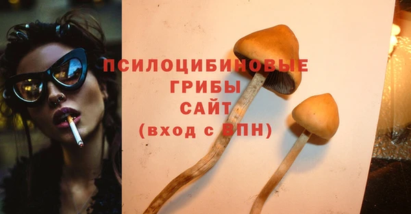 mdpv Балахна