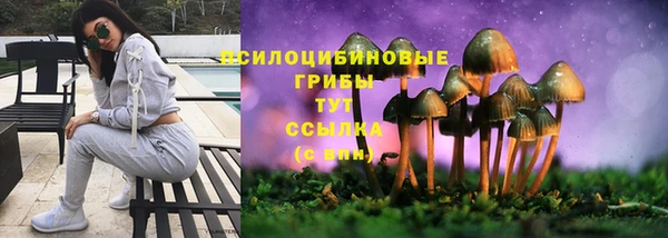 spice Балабаново