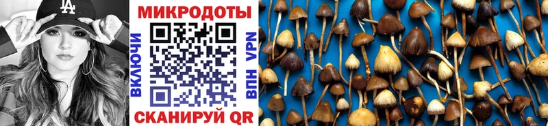Галлюциногенные грибы Psilocybine cubensis где можно купить кракен онион Сосновка